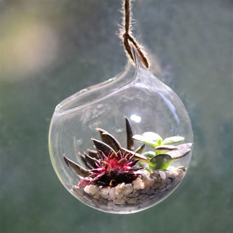 metal and glass house terrarium|hanging glass terrarium kits.